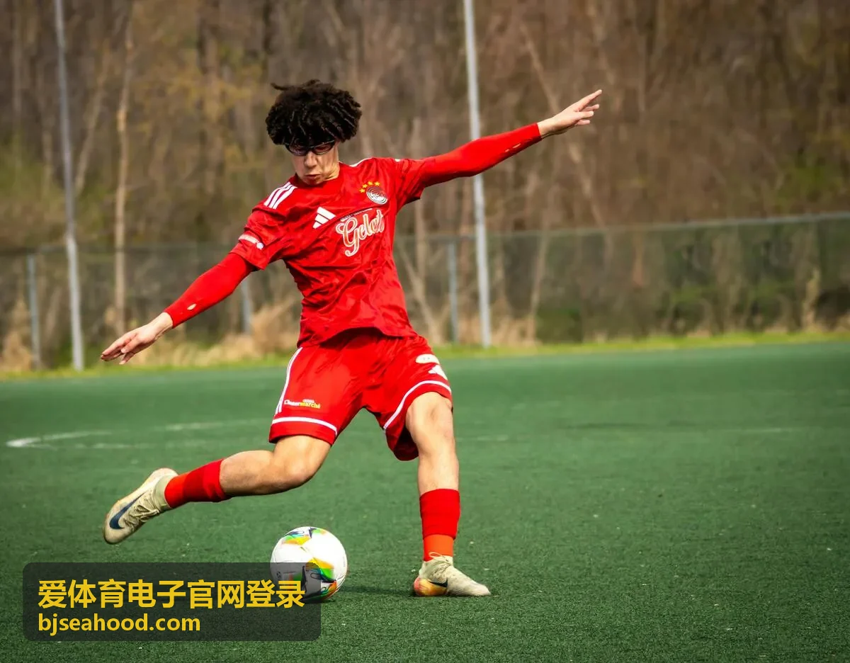 爱体育电子官网登录会员服务支持的场馆设备运行场景