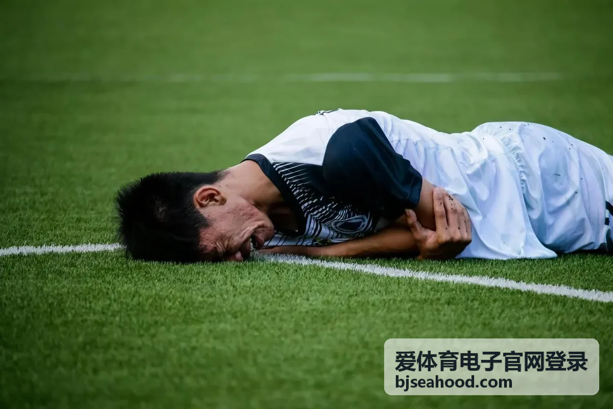 爱体育电子官网登录验证码与安全验证流程示意