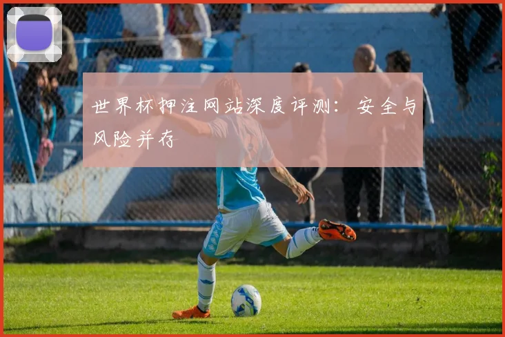 世界杯押注网站深度评测：安全与风险并存